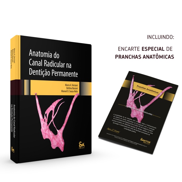 Anatomia do Canal Radicular na Dentição Permanente